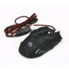 bf73ffdb-6939-4eff-9000-233fcace3233.jpg